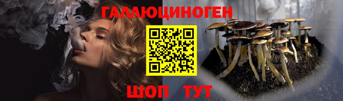 Балтийск  хочу наркоту  Вход с VPN  Галлюциногенные грибы мицелий  Галлюциногенные грибы мицелий 